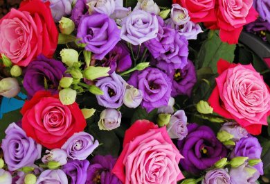 Какие букеты подарить на 8 марта: большой гид по выбору цветов